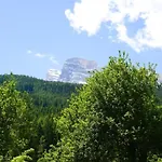 Dolomites Garden Flat Near Cortina * Villanova (Belluno)