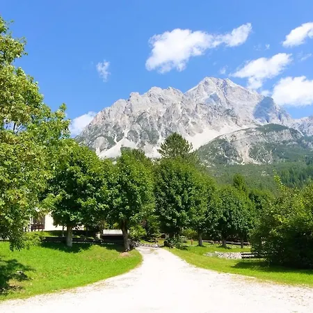 Dolomites Garden Flat Near Cortina Lägenhet
