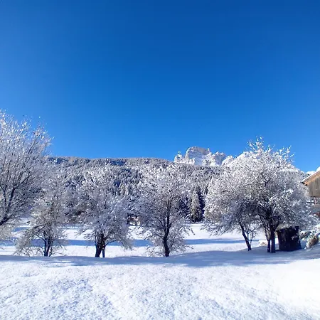 Dolomiti Garden Flat * Villanova (Belluno)