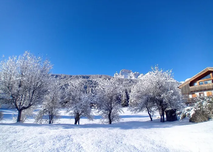 Dolomiti Garden Flat * Villanova (Belluno)